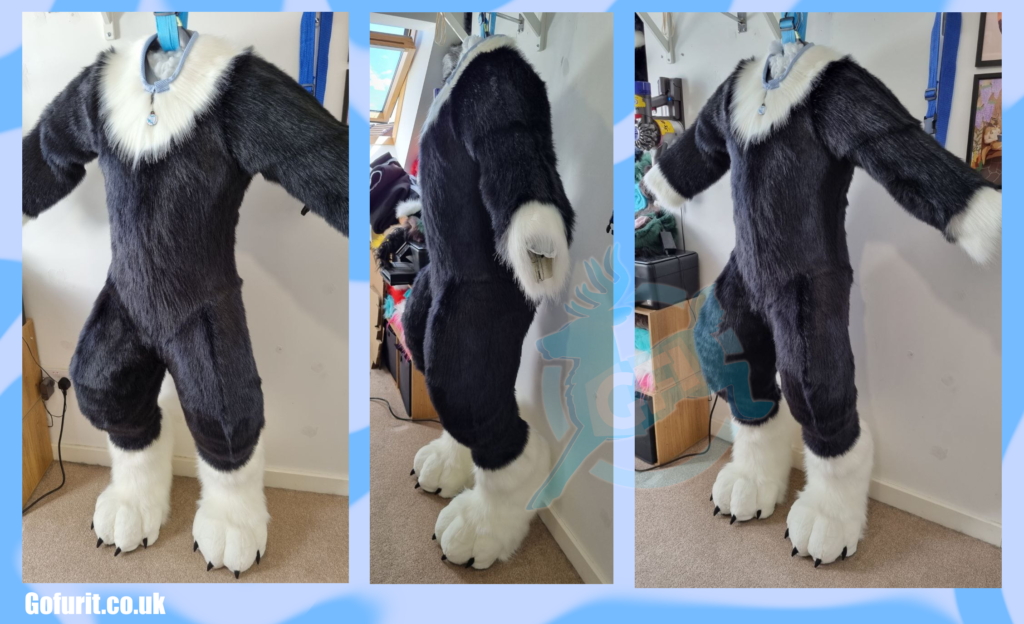 Lost - Collie - Bodysuit and feetpaws upgrade 2022
