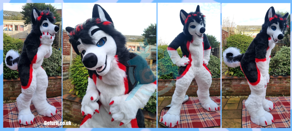 Taren - Husky - Digitigrade Fullsuit - 2024