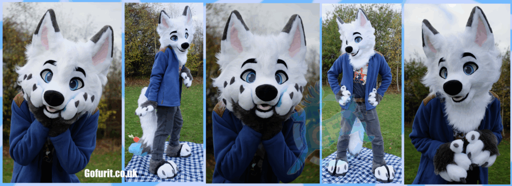 Shadz - Fox - Partial - 2025